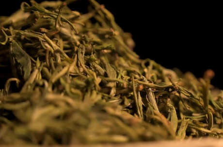 四大名茶是哪四种？