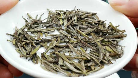 什么茶是太白顶芽？