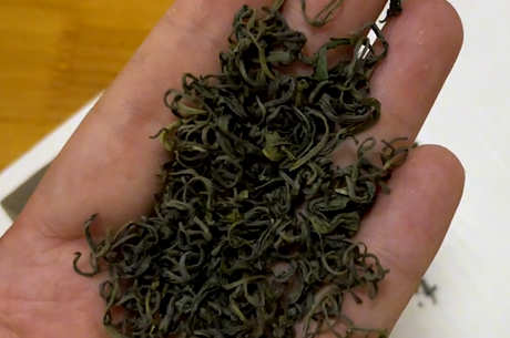 乌龙茶和高山茶的区别