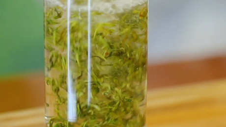 什么季节喝普陀佛茶？