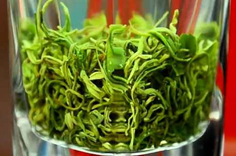天柱剑是绿茶吗？