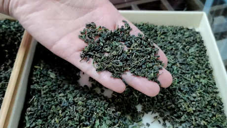 云瀑布茶属于什么茶？