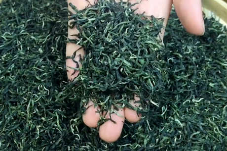 云瀑布茶属于什么茶？