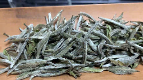 白毫王属于什么茶？