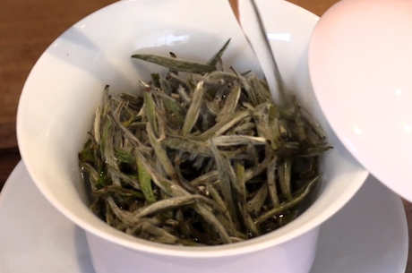 白毫王属于什么茶？