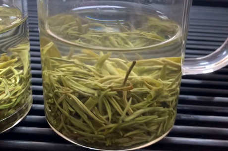 五峰毛尖属于什么茶？