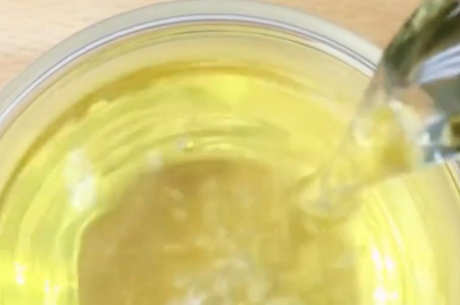 桑叶茶的功效和作用以及禁忌