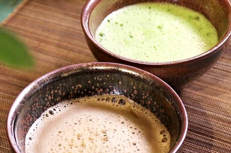 什么茶适合点茶？