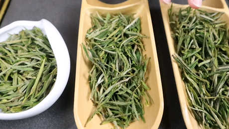 安徽黄山产什么茶？