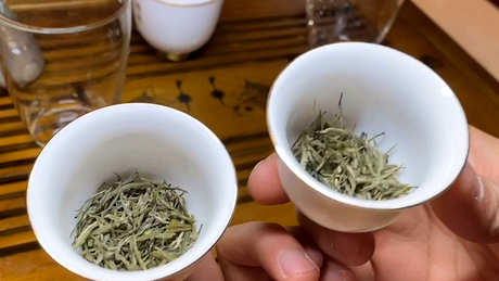 什么茶是东白春芽？