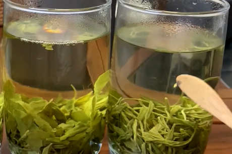 什么茶是东白春芽？
