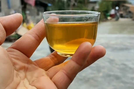 喝浆果茶对身体有什么好处？