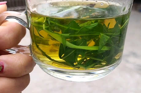 喝蒲公英茶的好处和坏处