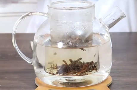 喝蒲公英茶的好处和坏处