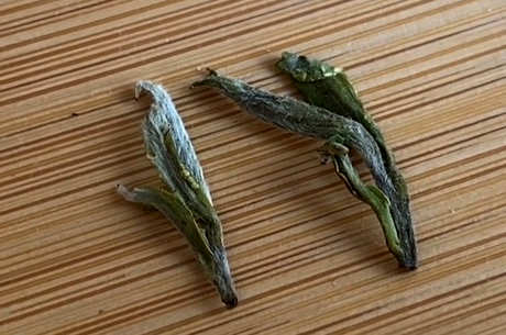 毛峰茶的功效和作用