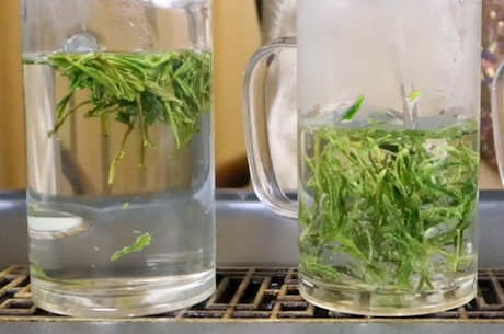 黄山毛峰的功效和作用