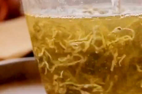 浆果茶的副作用