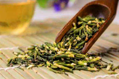 苦丁茶的功效和作用以及禁忌