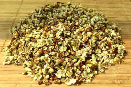 白梅花茶的功效和作用