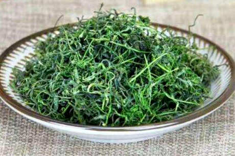 绞股蓝茶的功效和作用