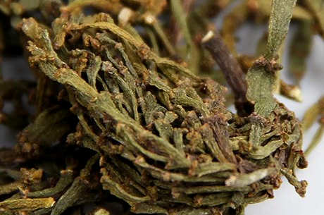 蟹脚茶的功效和作用