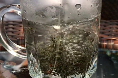 藤茶的功效