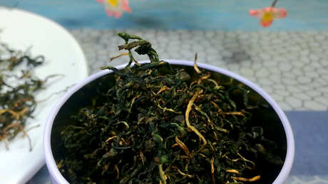 女性喝蒲公英茶的禁忌