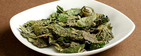 桑叶茶的好处