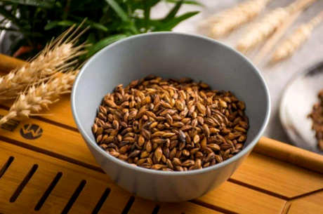 大麦茶是茶吗？