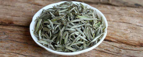 白毫银针陈茶好还是新茶好