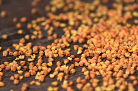 能吃苦荞茶吗？
