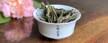 白毫银针茶能放多久？