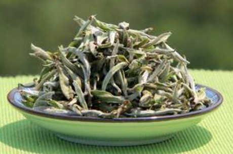 白毫银针茶能放多久？