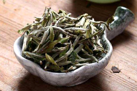 白毫银针新茶和老茶的区别