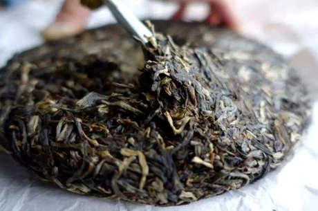 生茶和熟茶有什么区别？