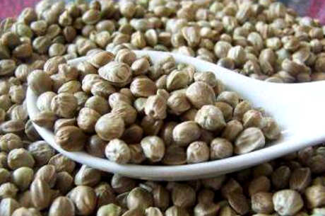 谁不能喝火麻茶？