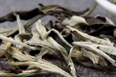月光白和白茶有什么区别？
