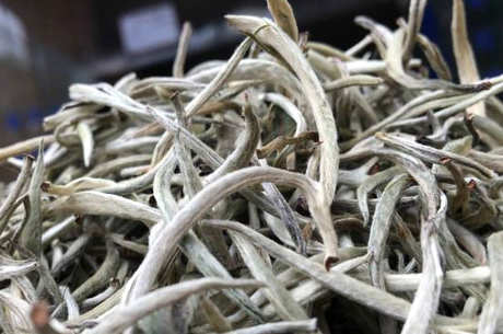云南月光白茶的特点