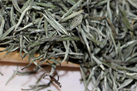 政和白茶产地在哪里？