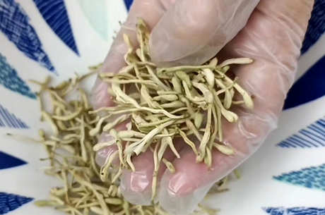 喝金银花泡水有6个害处