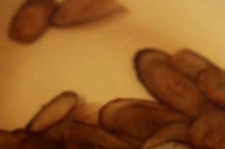 牛蒡茶有什么作用？