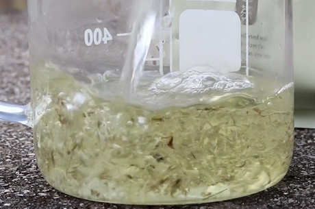 禁止使用覆盆子茶的功效和作用