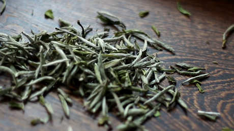 如何选择白茶的好坏？