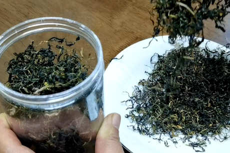 蒲公英根茶能长期喝吗？