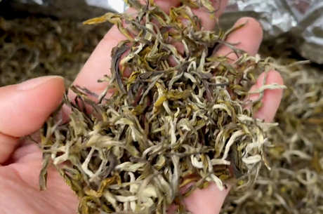 女人喝什么茶对身体有好处？