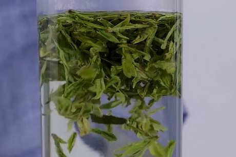 秋冬喝什么茶比较好？