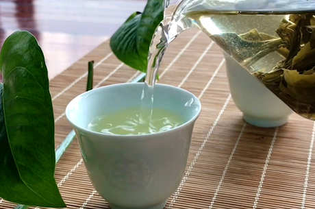 绿茶的功效和作用