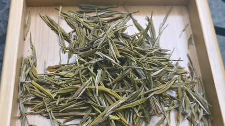 黄茶的功效和作用