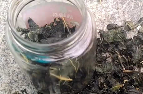 桑叶茶的功效