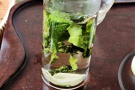 桑叶茶的功效